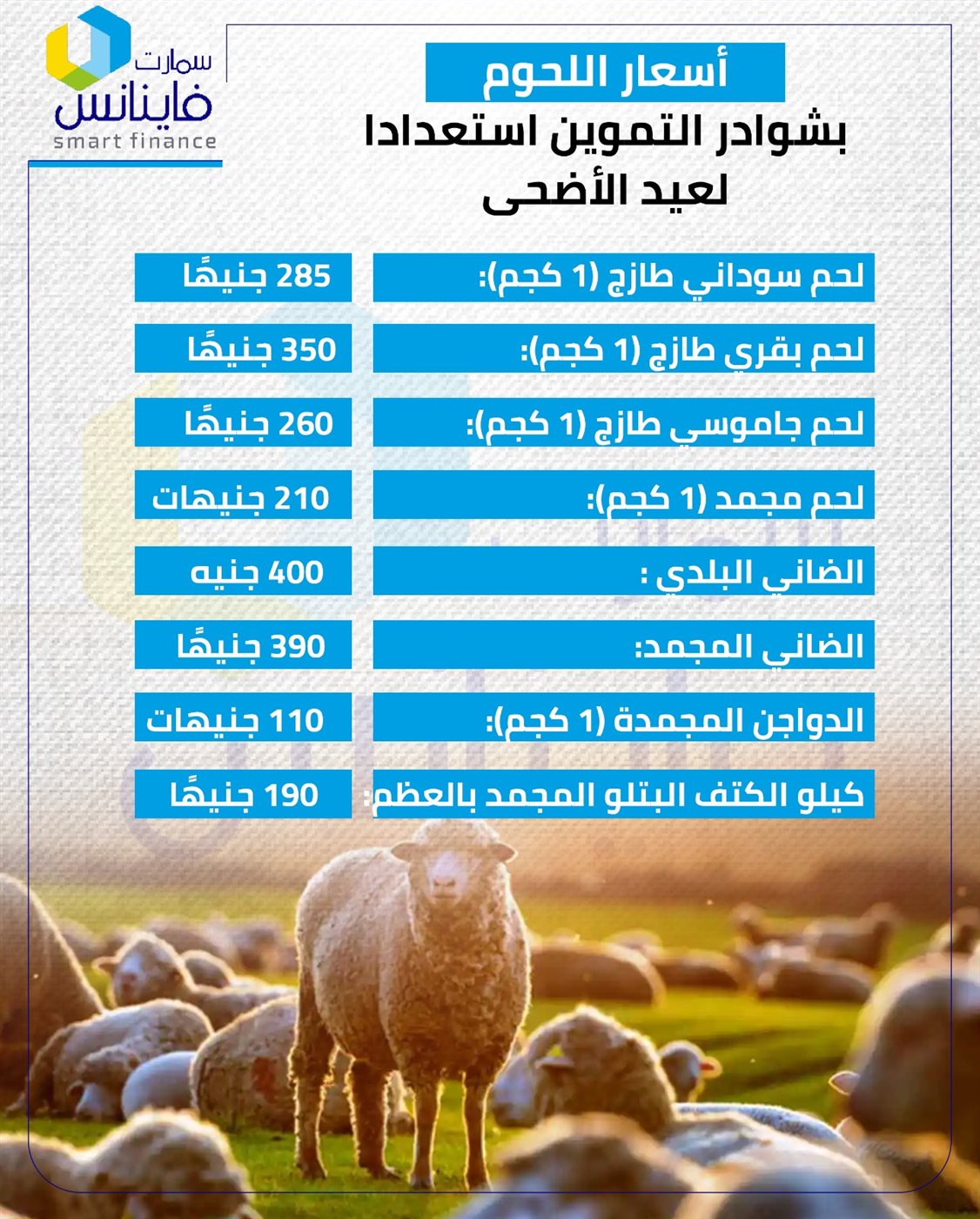 أسعار اللحوم بشوادر التموين استعدادا لعيد الأضحى