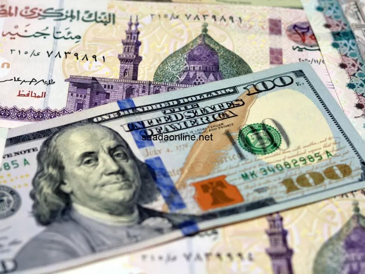 الدولار أمام الجنيه المصري