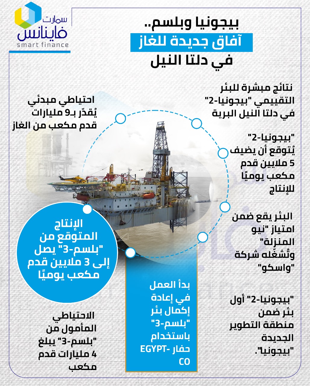 بيجونيا وبلسم.. آفاق جديدة للغاز في دلتا النيل