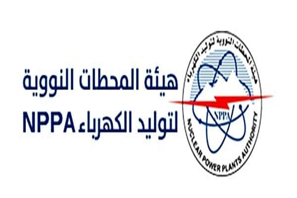 هيئة المحطات النووية