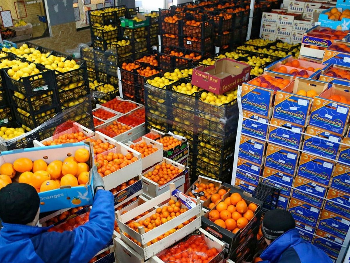 الصادرات المصرية