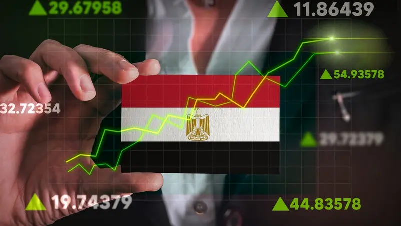 برنامج الطروحات الحكومية