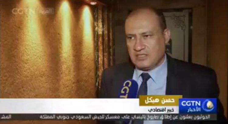 الدكتور حسن هيكل