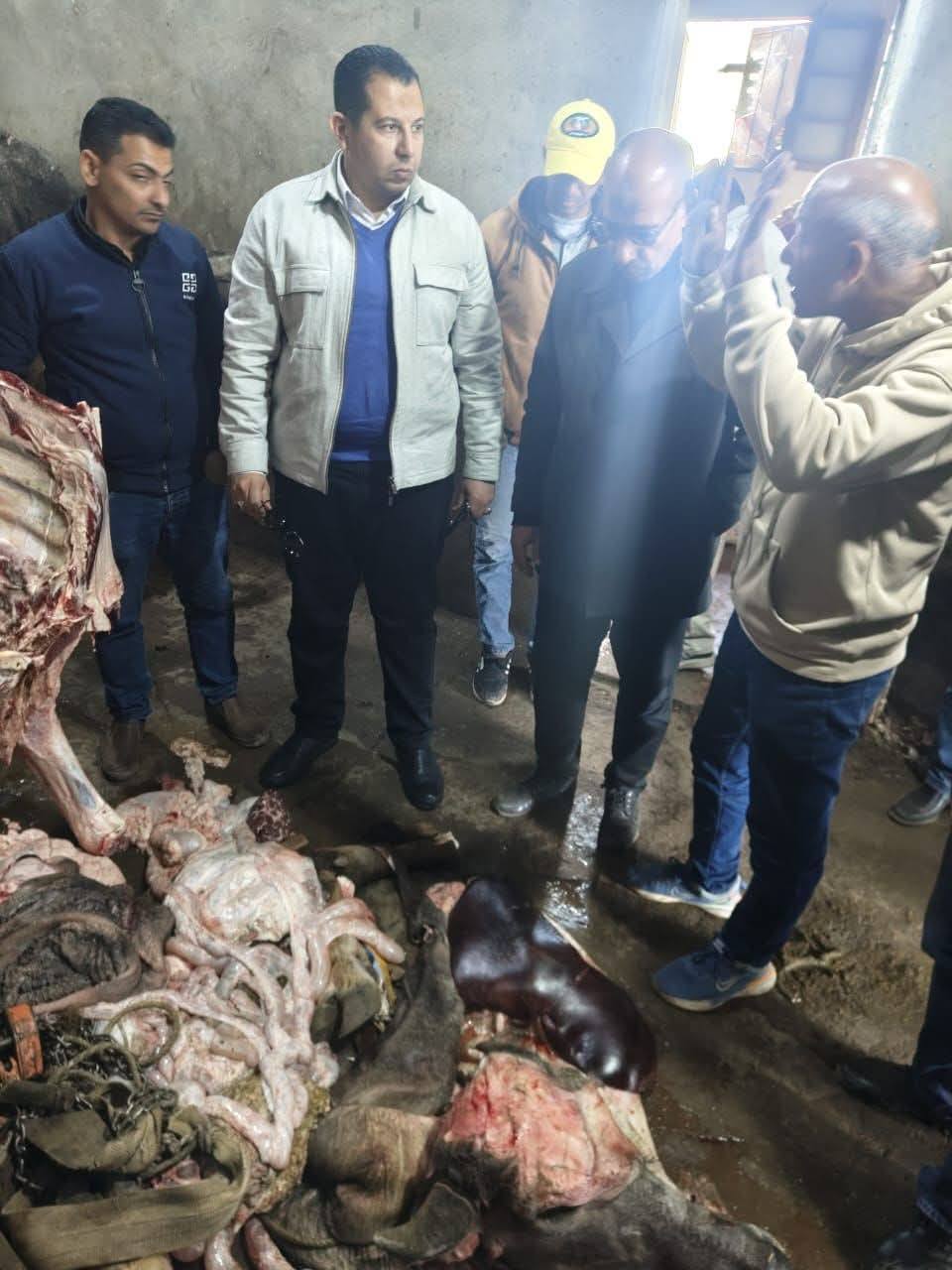 اللحوم ومنتجاتها غير الصالحة للاستهلاك الآدمي