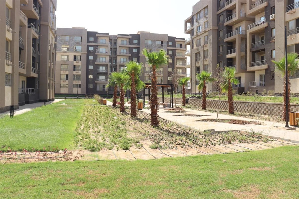 مشروع جنه بالشيخ زايد