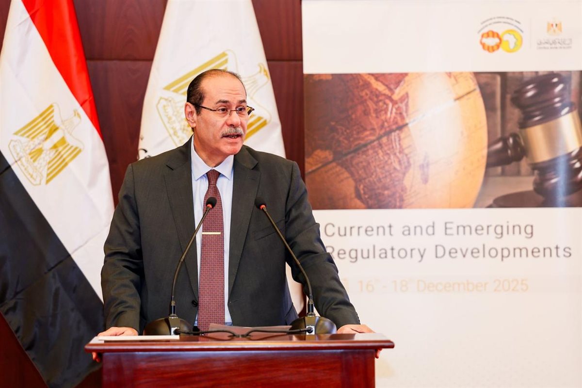 طارق الخولي نائب محافظ البنك المركزي المصري