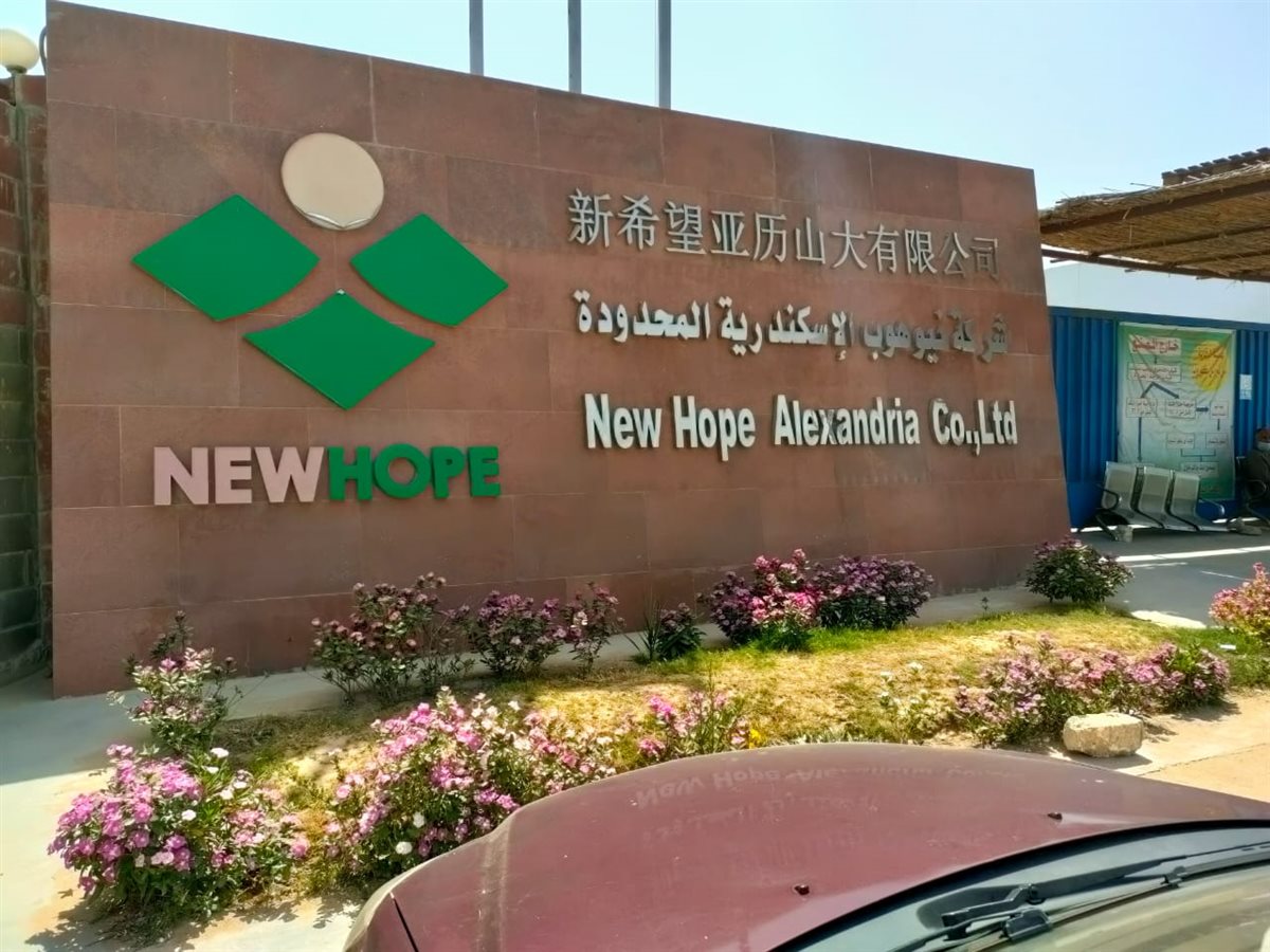 نيو هوب الصينية تعتزم إنشاء مصنع أعلاف جديد في مصر