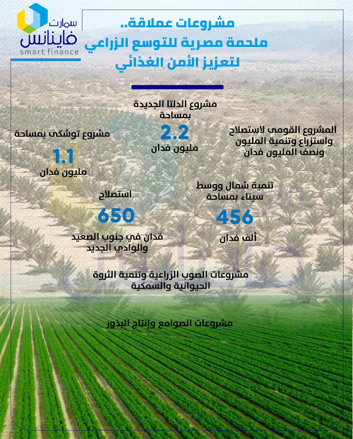مشروعات عملاقة.. ملحمة مصرية للتوسع الزراعي لتعزيز الأمن الغذائي