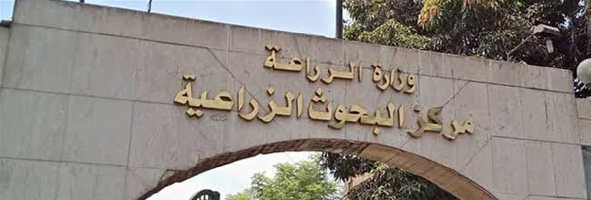 مركز البحوث الزراعية