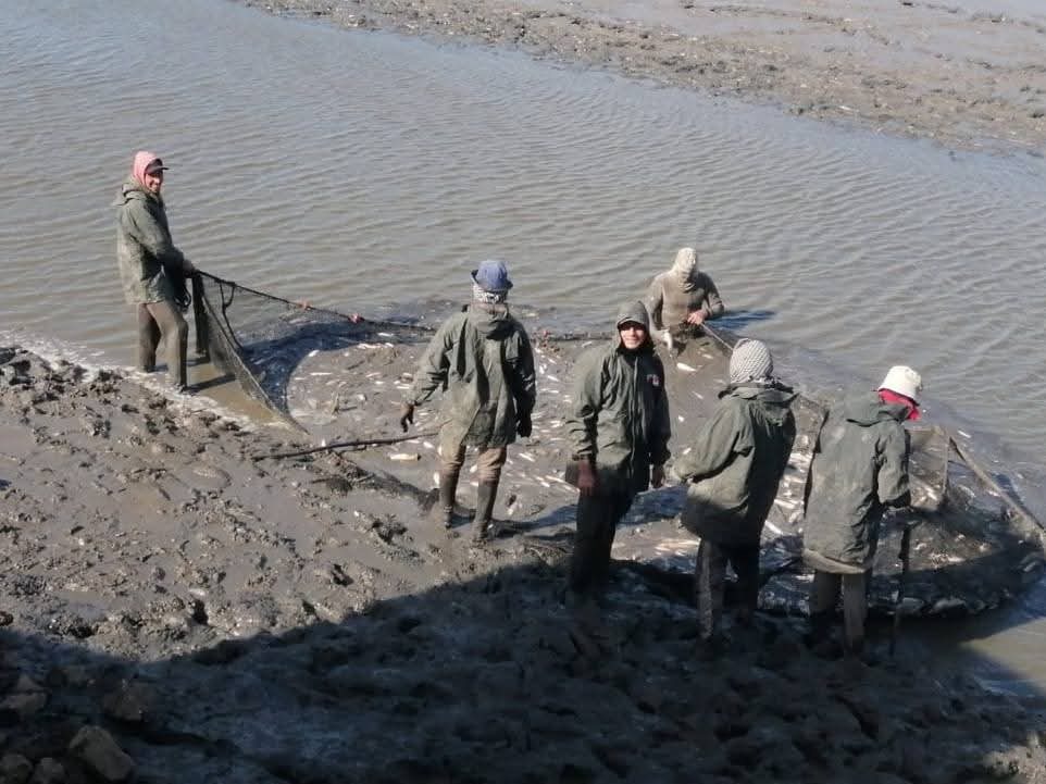 الثروة السمكية في مصر