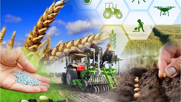 القطاع الزراعي في مصر