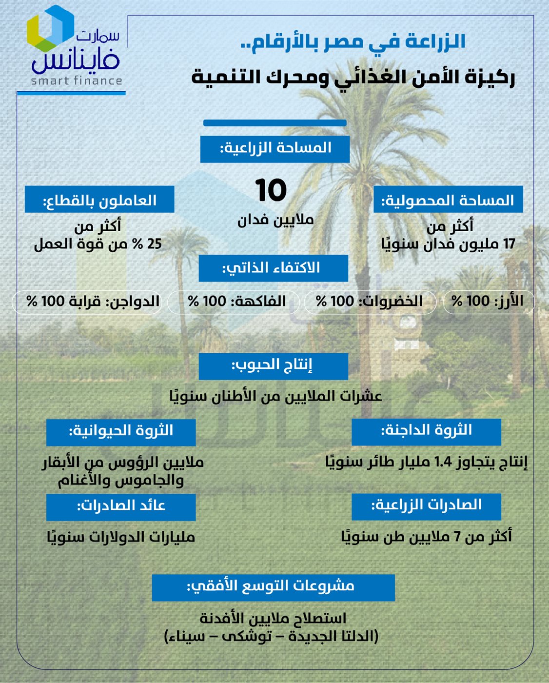 مصر تزرع.. والأرقام تحكي تفاصيل الإنجازات
