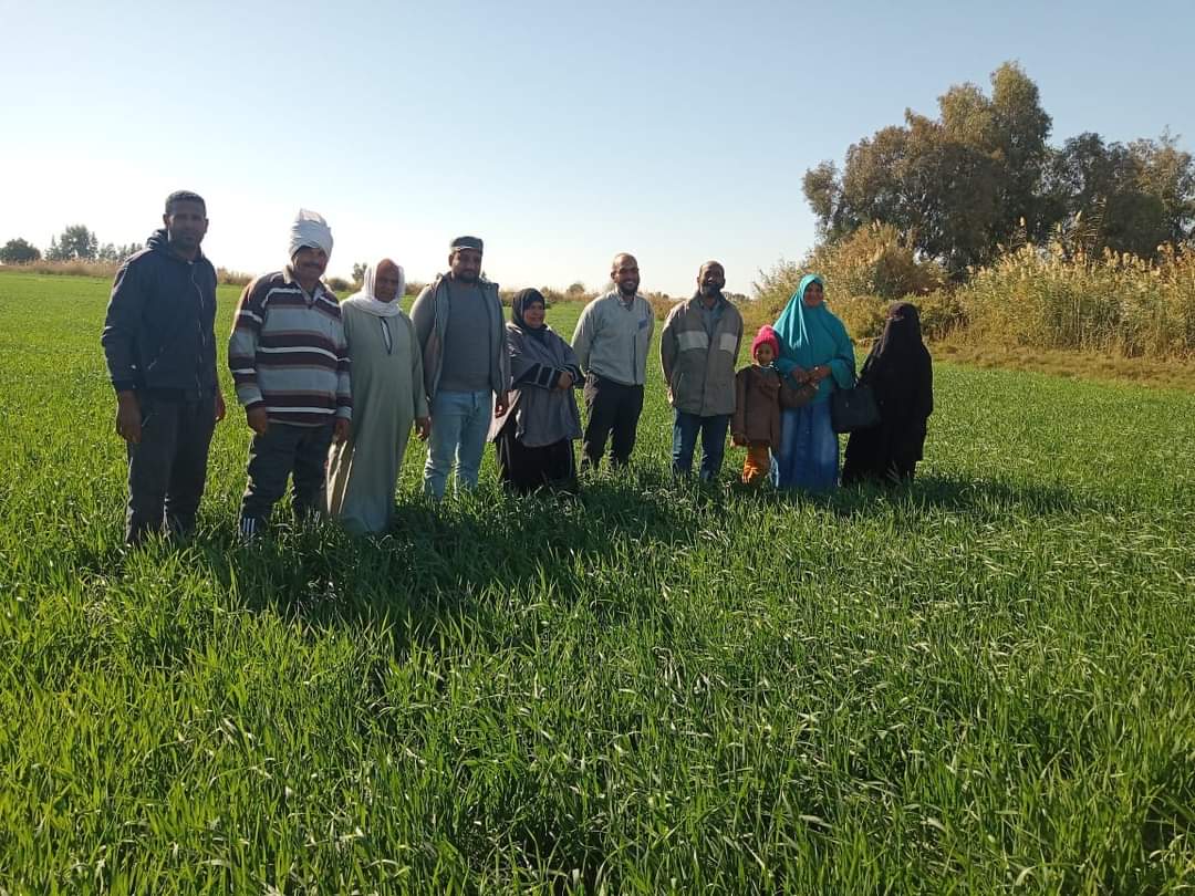 الحقول الإرشادية