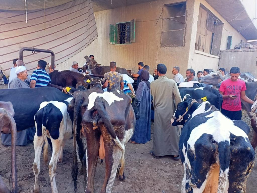 صغار المربين