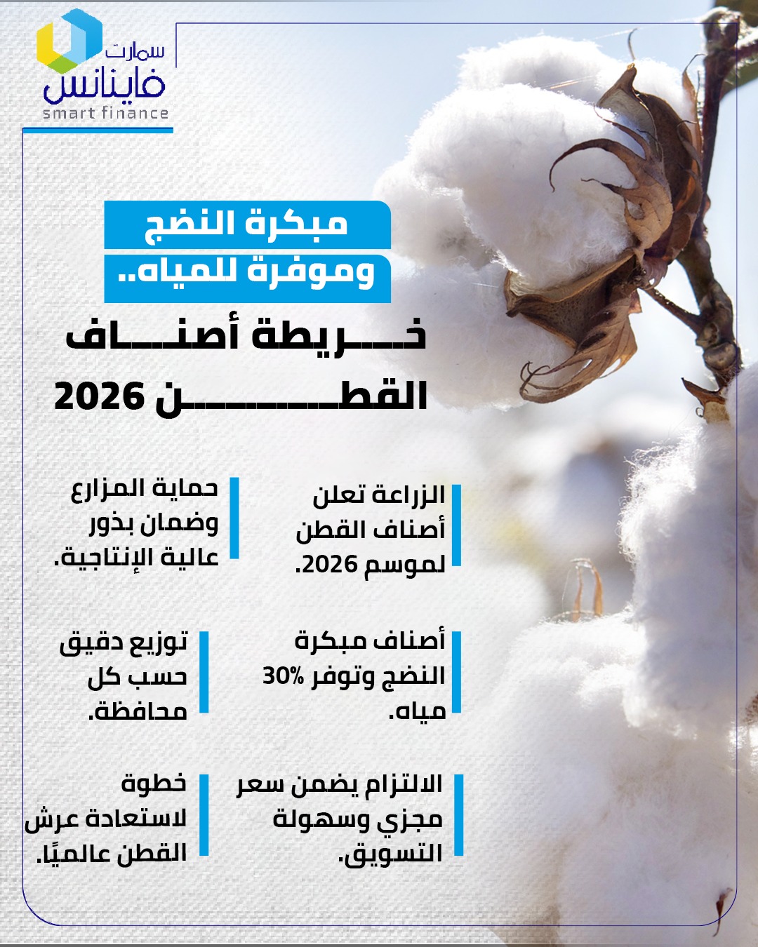 خريطة القطن 2026&nbsp;