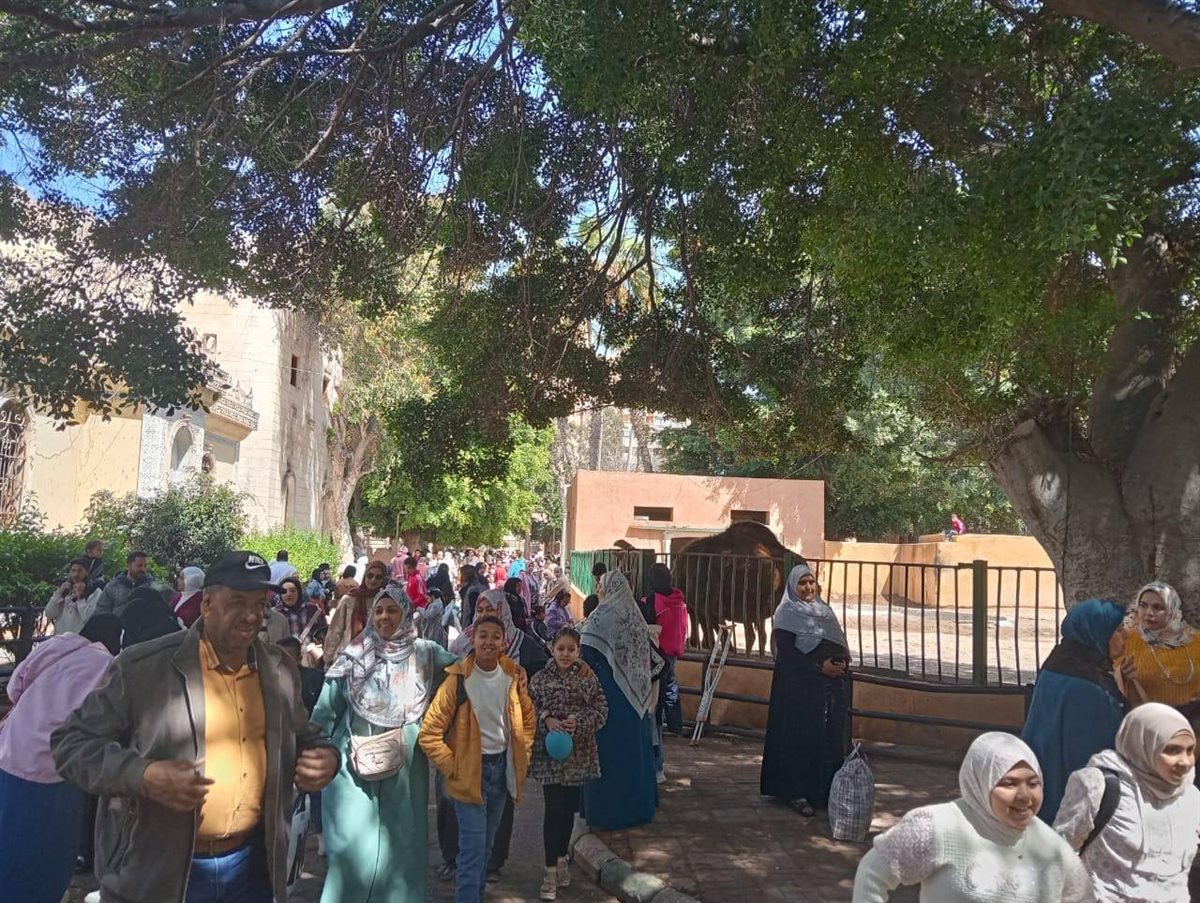 &nbsp;الحدائق العامة