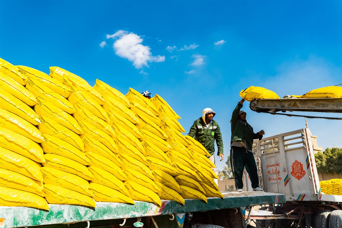 العاملين في الشركة الدولية للمحاصيل الزراعية