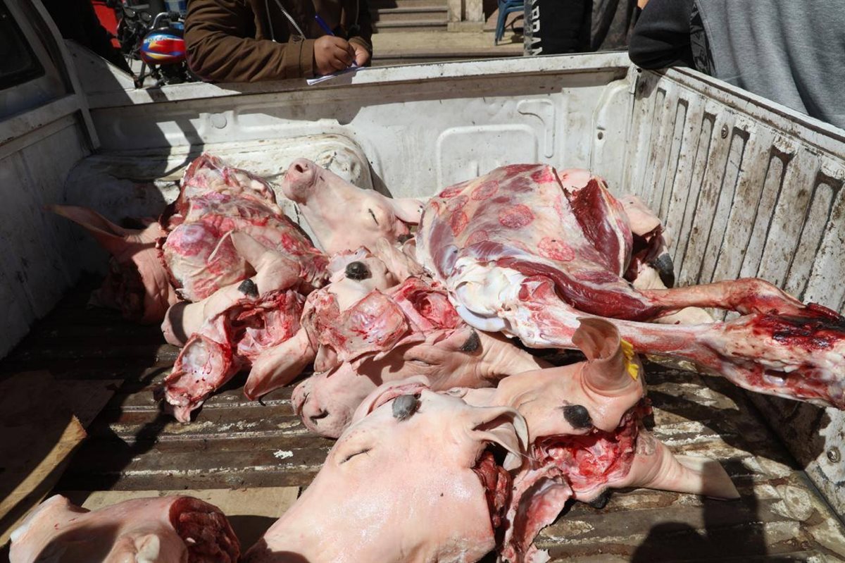 ذبح رؤوس الماشية