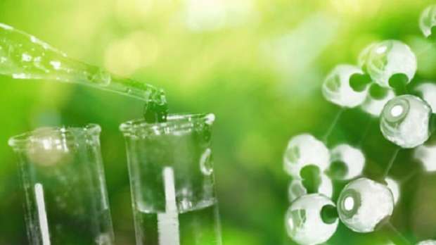 الأمونيا الخضراء