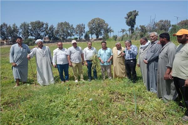 معاينة ميدانية