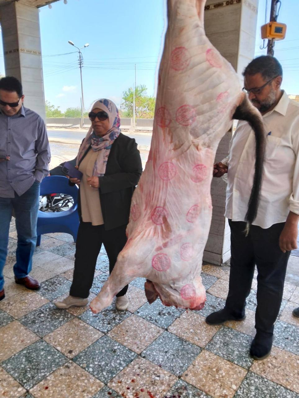 مجزر