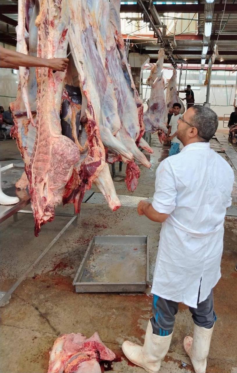 المجازر الحكومية&nbsp;