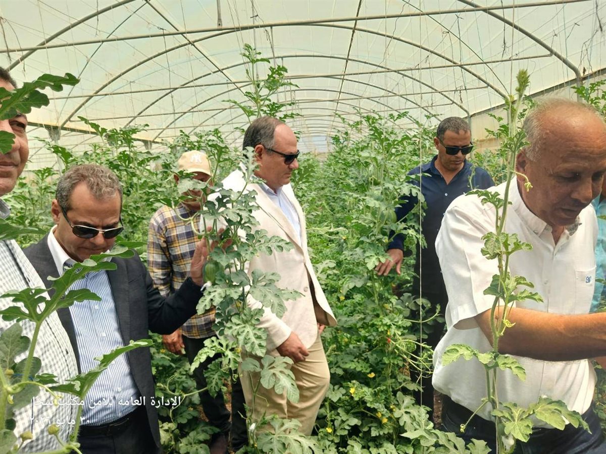 عادل عبدالعظيم، رئيس مركز البحوث الزراعية