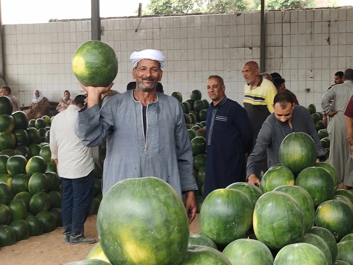 البطيخ المصري