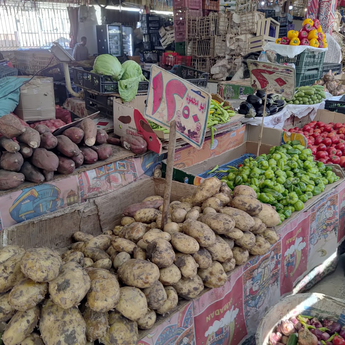 البطاطس