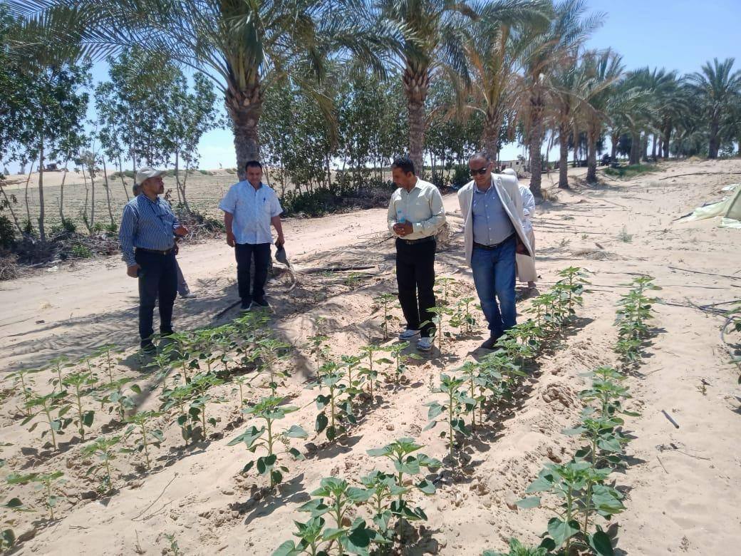 وزارة الزراعة