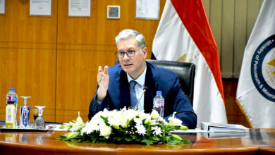 المهندس كريم بدوي