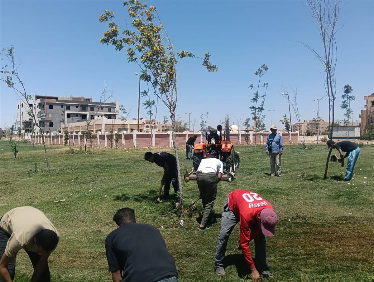 المسطحات الخضراء