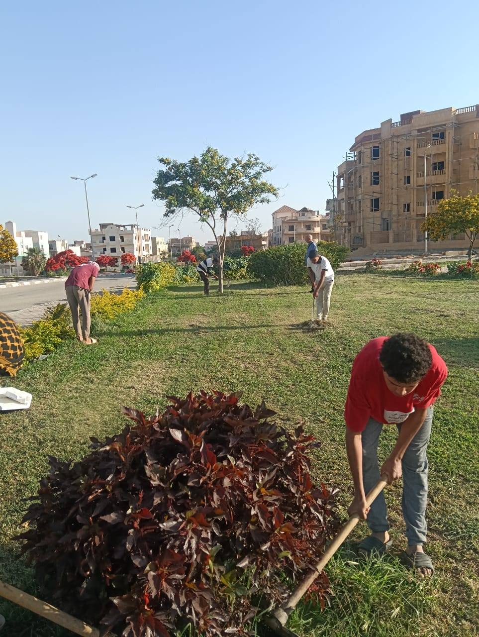 المسطحات الخضراء