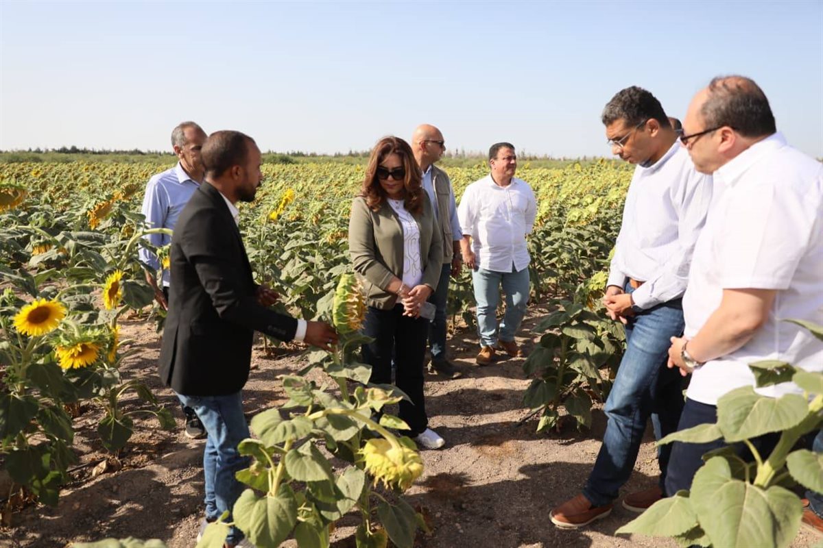 &nbsp;الدكتورة منال عوض وزيرة التنمية المحلية