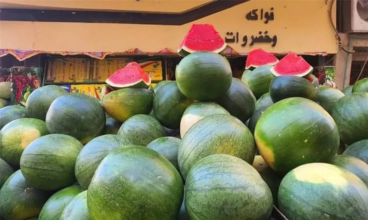 البطيخ