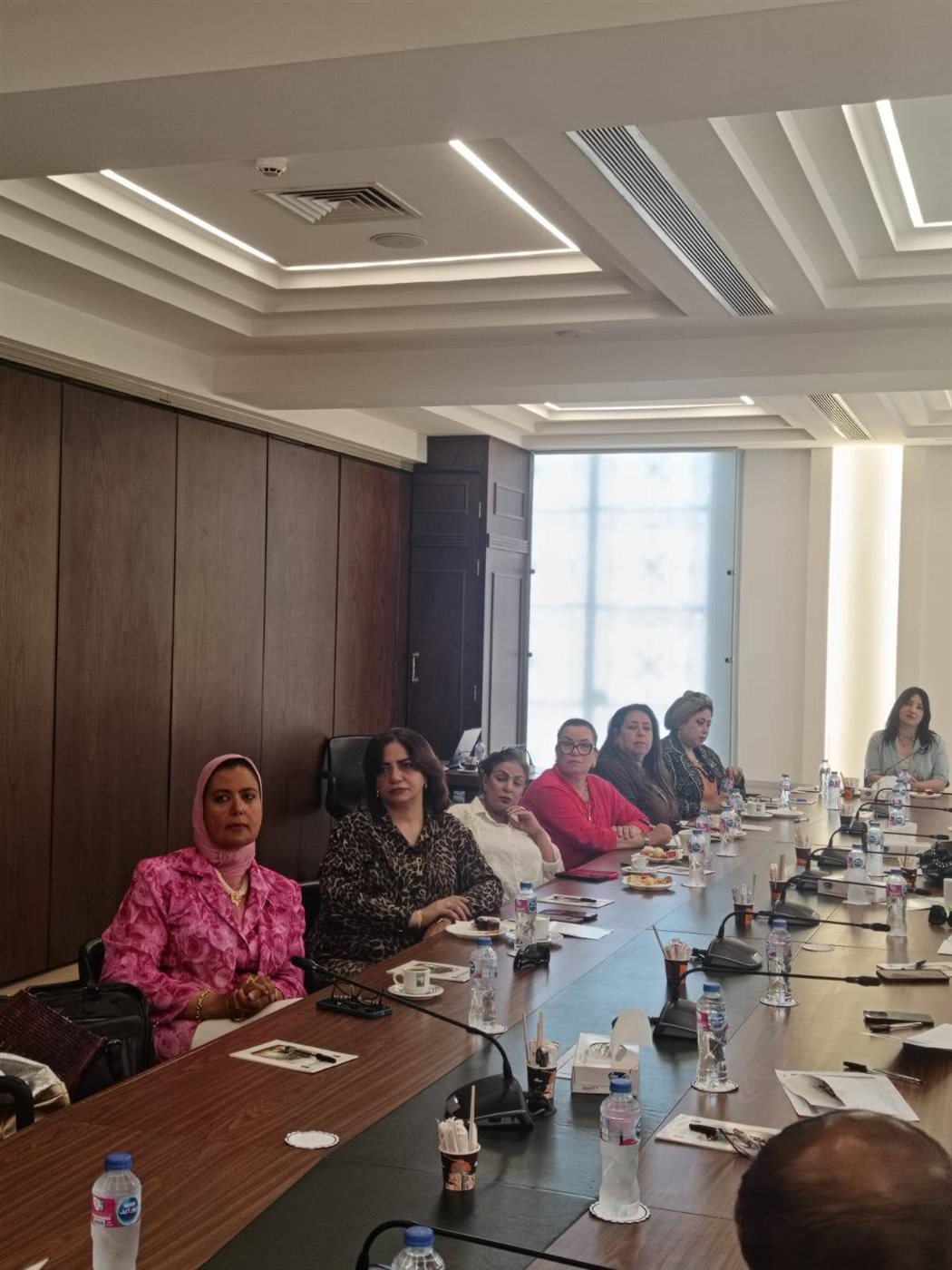 المجلس الاقتصادي لسيدات الأعمال