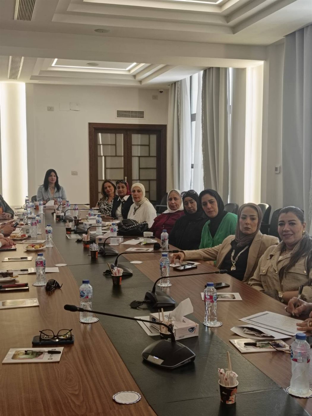 المجلس الاقتصادي لسيدات الأعمال