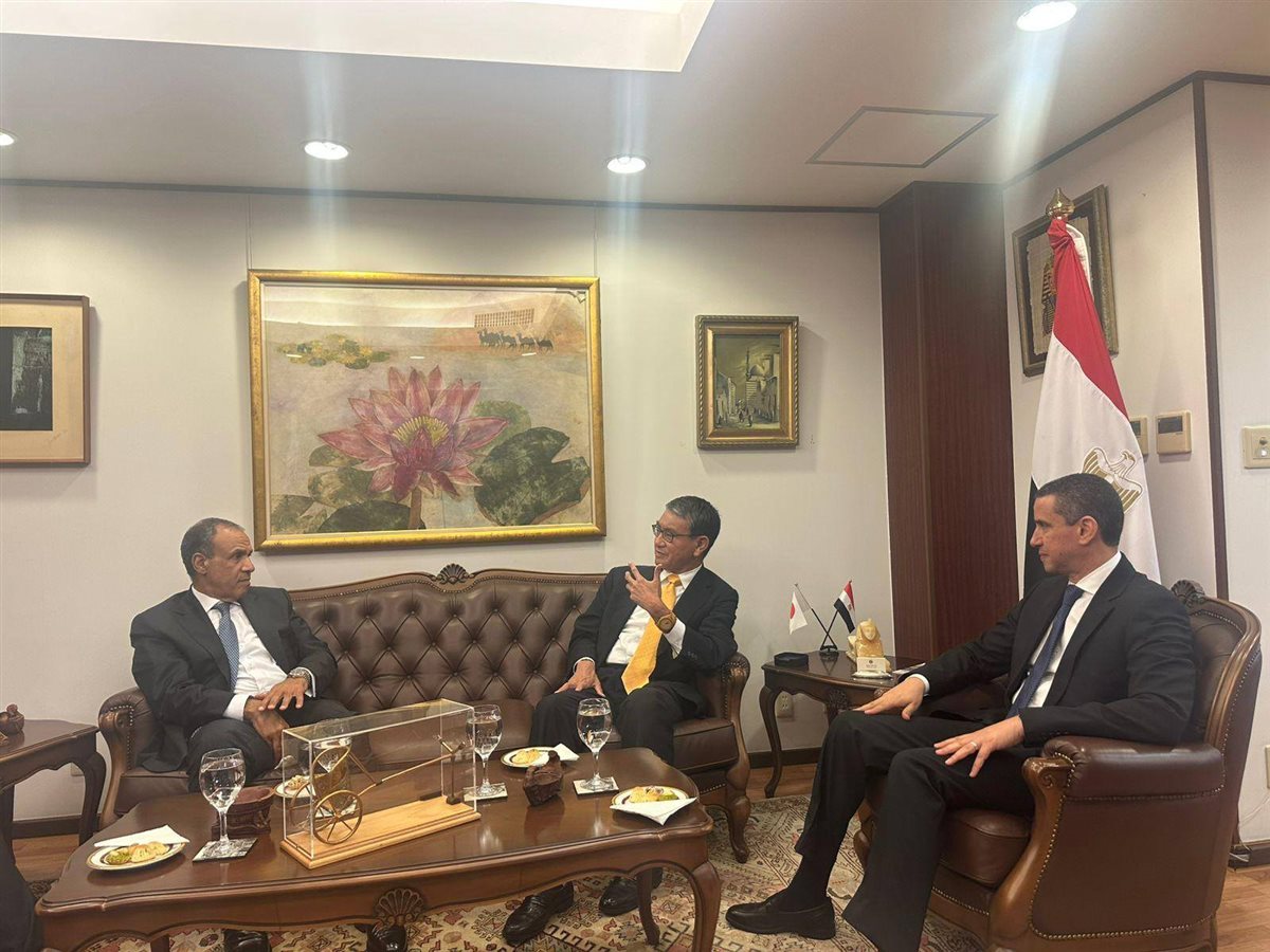 الدكتور بدر عبد العاطي، وزير الخارجية