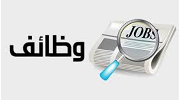 300 فرصة لوظيفة