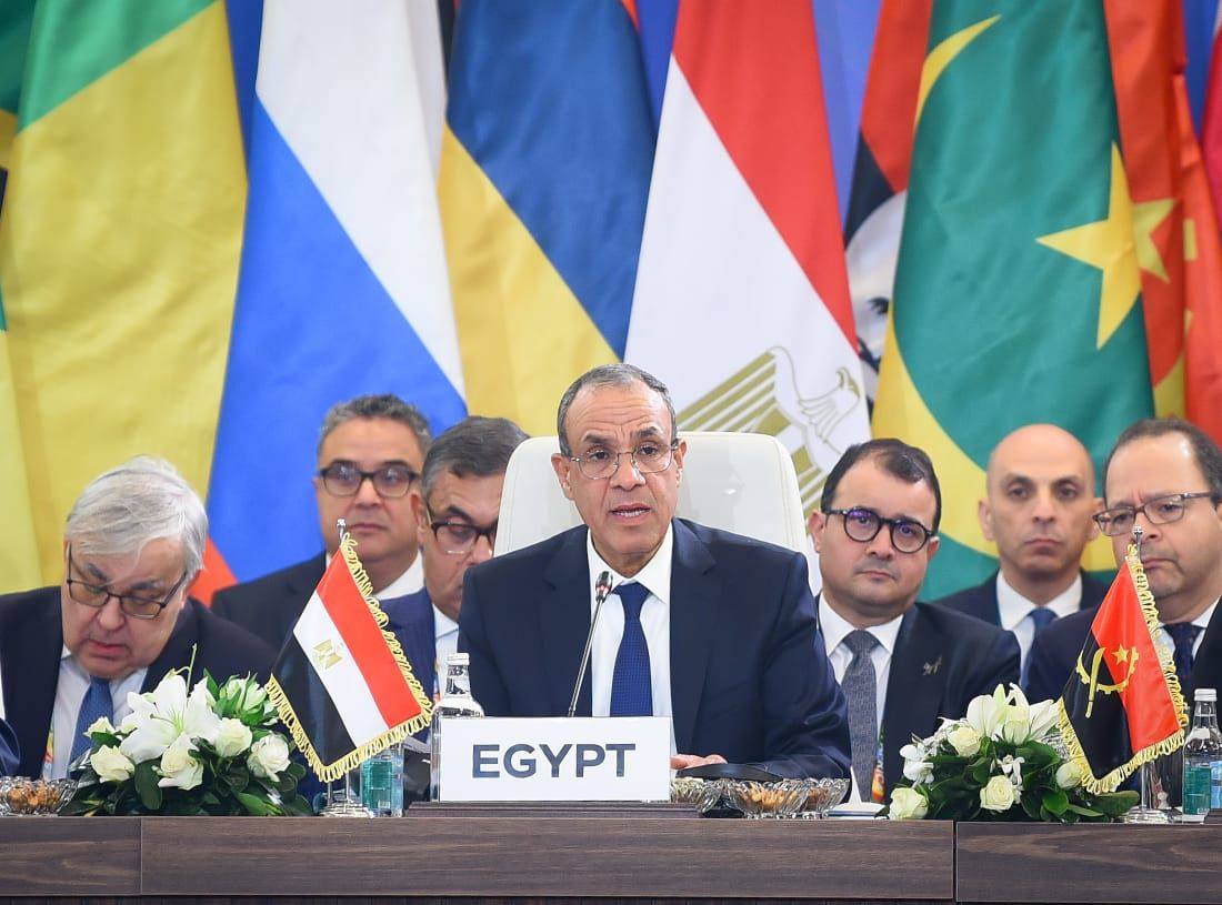 بدر عبد العاطي، وزير الخارجية&nbsp;
