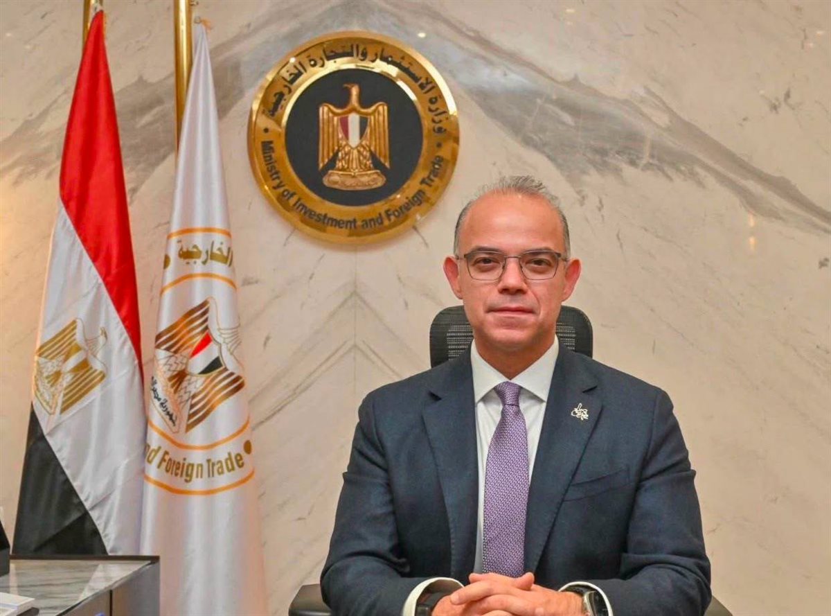 محمد فريد صالح، وزير الاستثمار
