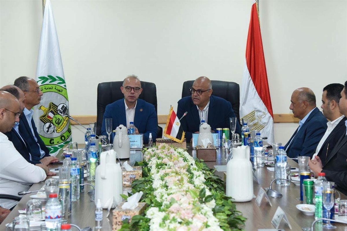 محمد فريد، وزير الاستثمار