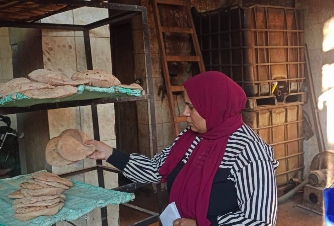 حملات تموين القليوبية