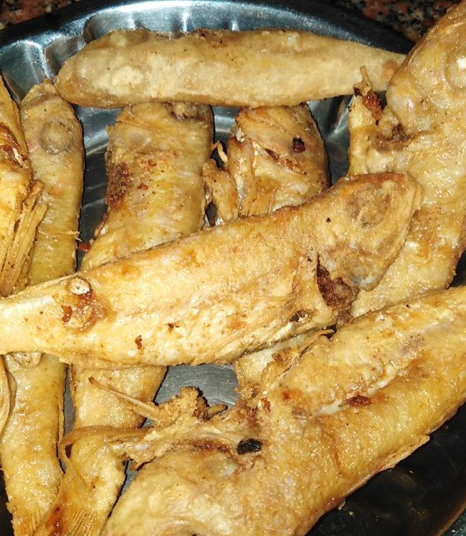 سمك مرجان