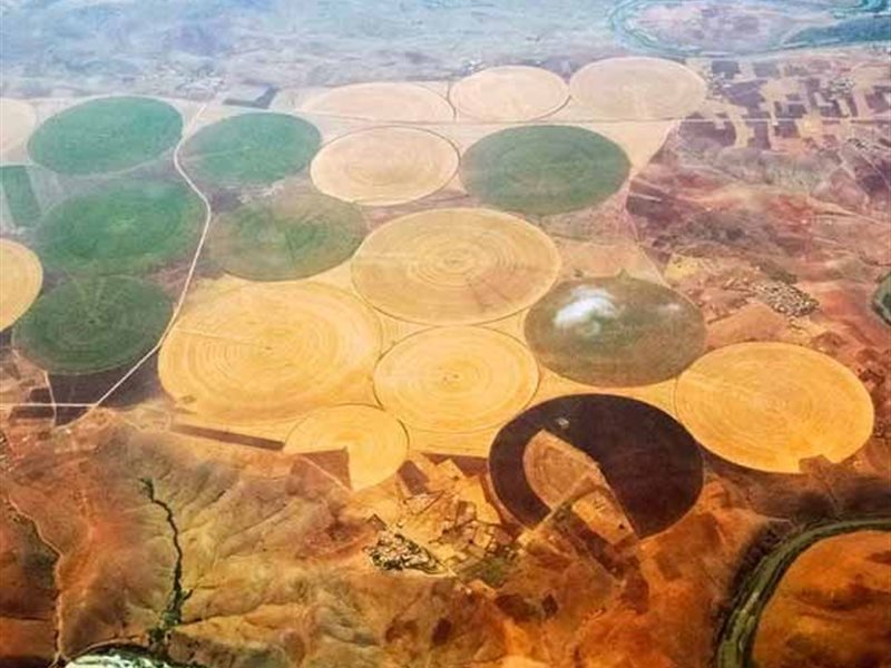 دوائر المحاصيل الغامضة