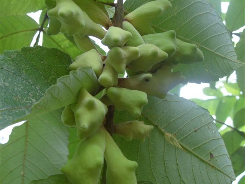 سمارت فاينانس