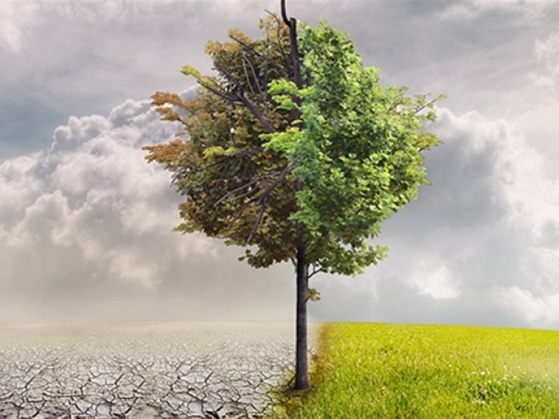 تغير المناخ climate