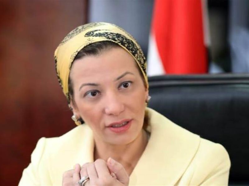 ياسمين فؤاد وزيرة