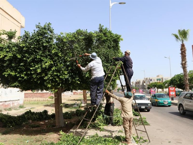 سمارت فاينانس