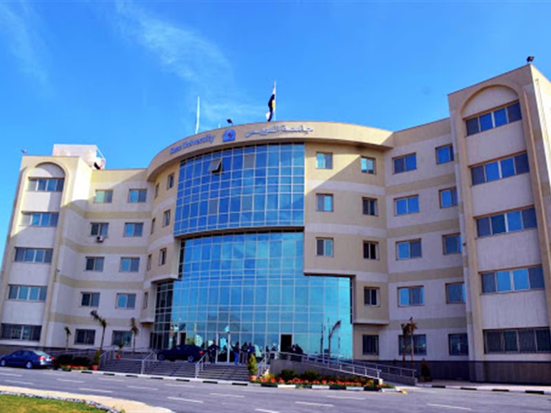 جامعة السويس